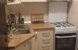 Garsoniera de 30 mp, pet friendly, zona Kaufland Manastur