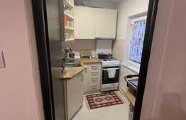 Garsoniera de 30 mp, pet friendly, zona Kaufland Manastur