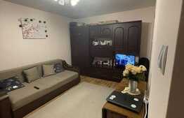 Garsoniera de 30 mp, pet friendly, zona Kaufland Manastur