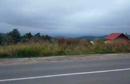 Teren cu suprafata de 6700 mp in Salicea