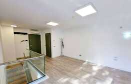 Birou cu 5 incaperi, Parter, 250 mp, zona Parcului Central