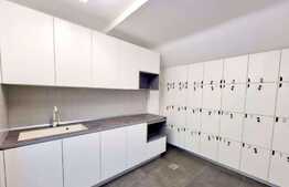 Birou cu 5 incaperi, Parter, 250 mp, zona Parcului Central