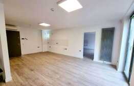 Birou cu 5 incaperi, Parter, 250 mp, zona Parcului Central