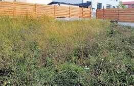 De vanzare casa individuala noua, CF, 133 mp utili, teren 427 mp, panorama, Dezmir!