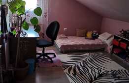 Casa individuală și atelier auto, 90 mp, teren 460mp!