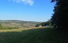 Teren extravilan de vanzare, 11600 mp, Popesti