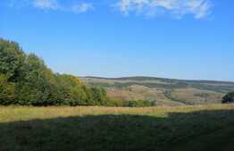 Teren extravilan de vanzare, 11600 mp, Popesti