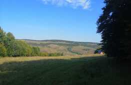 Teren extravilan de vanzare, 11600 mp, Popesti