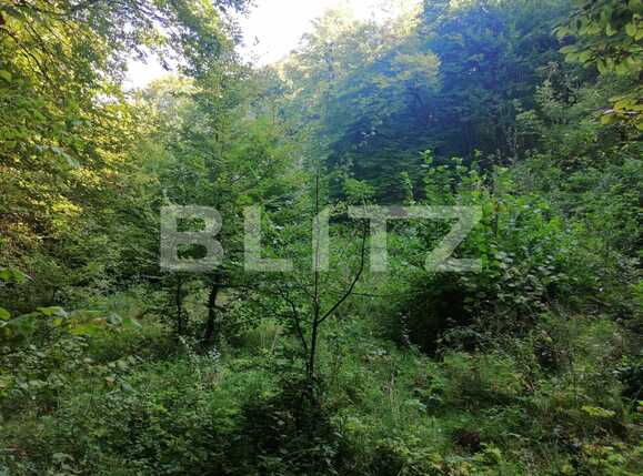 Teren de vânzare Popesti - 72707TV | BLITZ Cluj-Napoca | Poza9