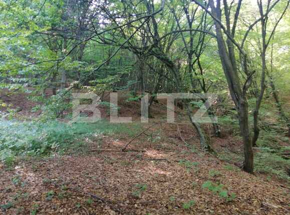 Teren de vânzare Popesti - 72707TV | BLITZ Cluj-Napoca | Poza6