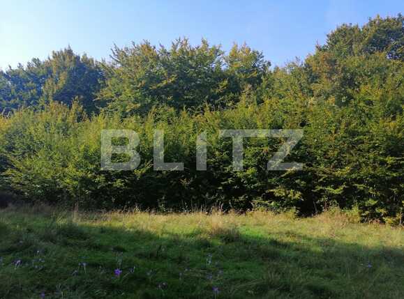 Teren de vânzare Popesti - 72707TV | BLITZ Cluj-Napoca | Poza7