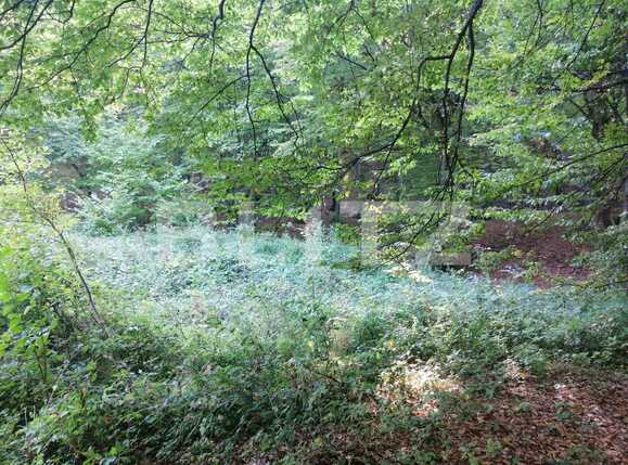 Teren de vânzare Popesti - 72707TV | BLITZ Cluj-Napoca | Poza10