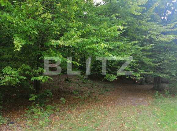 Teren de vânzare Popesti - 72707TV | BLITZ Cluj-Napoca | Poza8