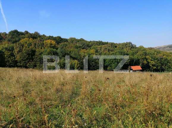 Teren de vânzare Popesti - 72707TV | BLITZ Cluj-Napoca | Poza2