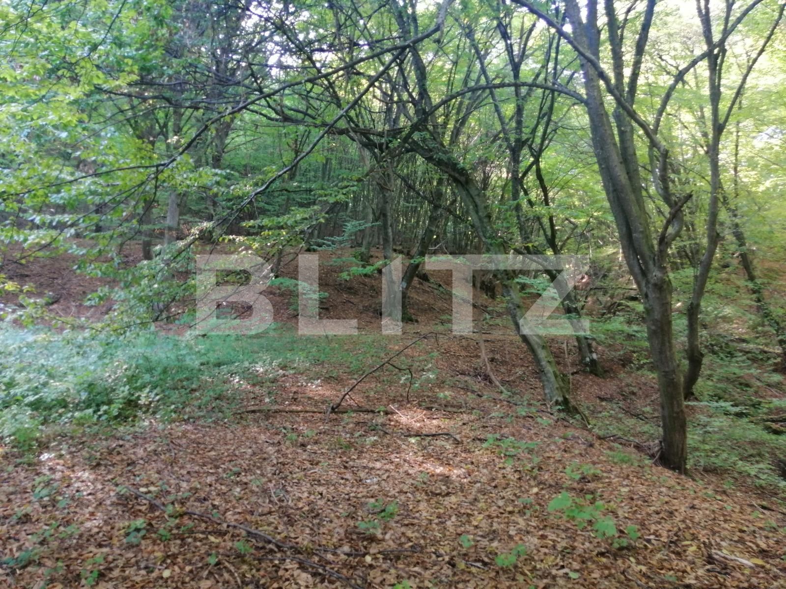 Teren de vânzare Popesti - 72707TV | BLITZ Cluj-Napoca | Poza6