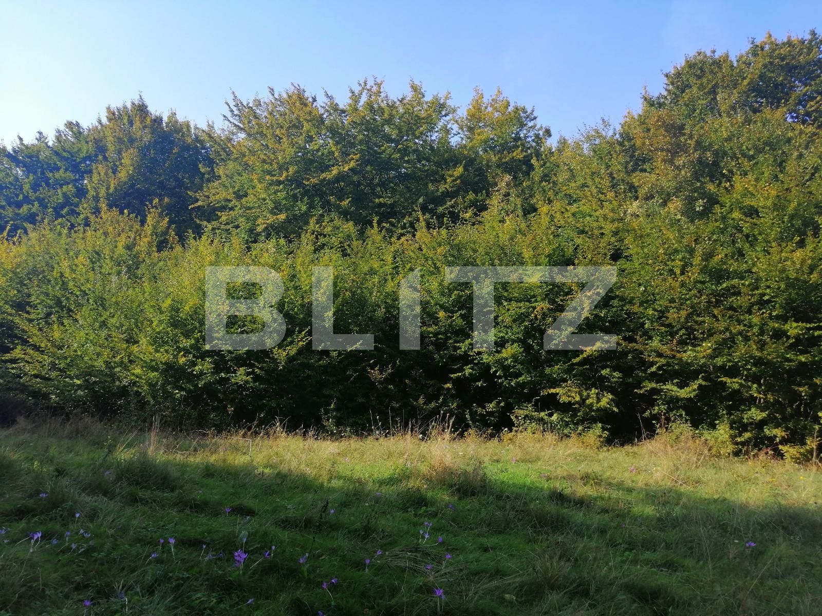 Teren de vânzare Popesti - 72707TV | BLITZ Cluj-Napoca | Poza7