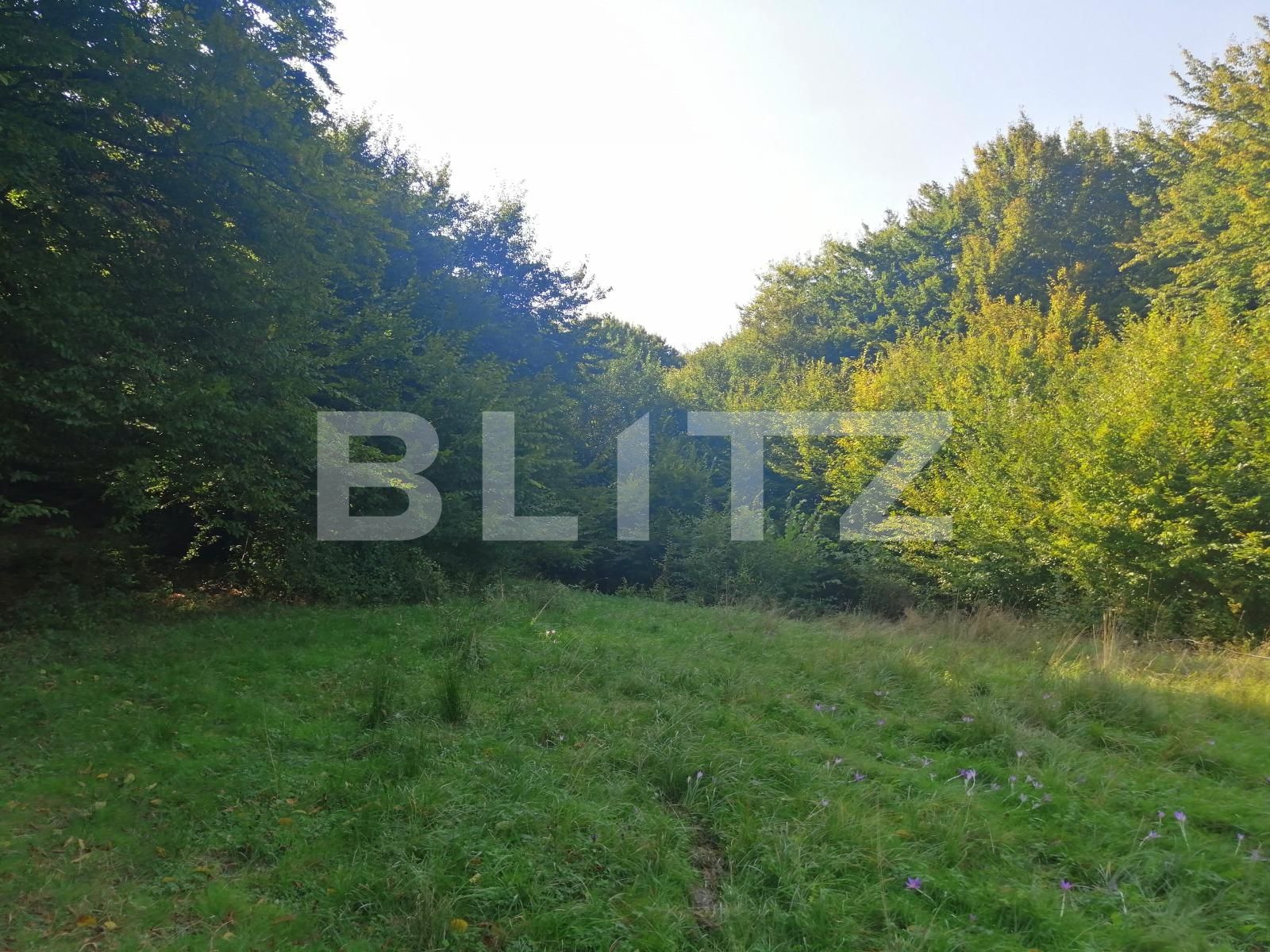 Teren de vânzare Popesti - 72707TV | BLITZ Cluj-Napoca | Poza5