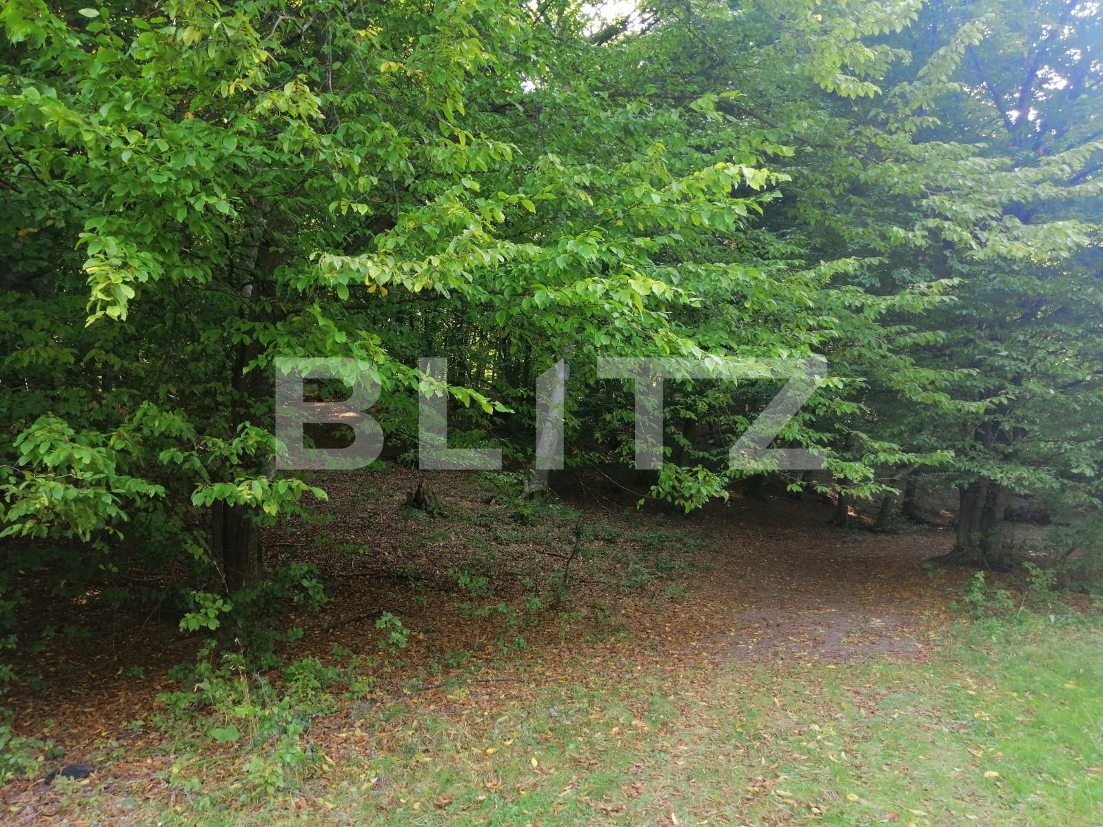 Teren de vânzare Popesti - 72707TV | BLITZ Cluj-Napoca | Poza8