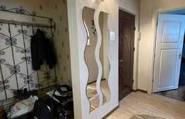 Apartament cu 2 camere, decoamandat, pet friendly, 50 mp, zona strazii Fabricii