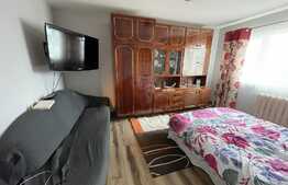 Apartament cu 2 camere, decoamandat, pet friendly, 50 mp, zona strazii Fabricii