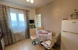 Apartament cu 2 camere, decoamandat, pet friendly, 50 mp, zona strazii Fabricii