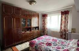 Apartament cu 2 camere, decoamandat, pet friendly, 50 mp, zona strazii Fabricii