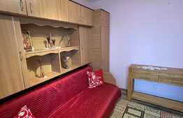 Apartament cu 2 camere, decoamandat, pet friendly, 50 mp, zona strazii Fabricii