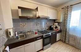 Apartament cu 2 camere, decoamandat, pet friendly, 50 mp, zona strazii Fabricii