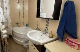 Apartament cu 2 camere, decoamandat, pet friendly, 50 mp, zona strazii Fabricii