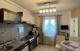 Apartament cu 2 camere, decoamandat, pet friendly, 50 mp, zona strazii Fabricii