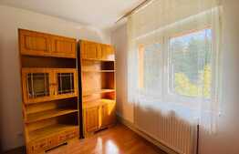 Apartament spatios cu 4 camere, 82 mp, zona strazii Primaverii