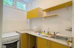 Garsoniera de 30 mp, parcare, zona McDonald`s