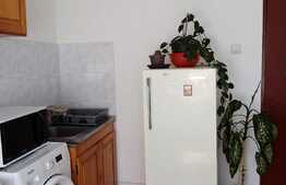 Garsoniera de inchiriat, 28 mp, zona Sigma, cartier Zorilor