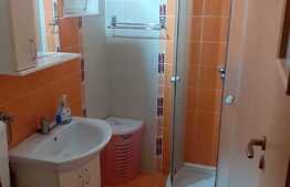 Apartament de 2 camere, semidecomandat, 40 mp, zona strazii Albac
