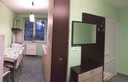 Apartament 2 camere, decomandat, parcare, zona centrală, Centrul Civic