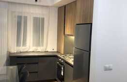 Apartament de lux! Preluare de chiriasi! Etaj 1! Zona centrală! 