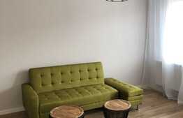 Apartament de lux! Preluare de chiriasi! Etaj 1! Zona centrală! 