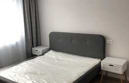 Apartament de lux! Preluare de chiriasi! Etaj 1! Zona centrală! 