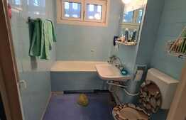 Apartament 2 camere , 51 mp, etaj intermediar, Gheorgheni!