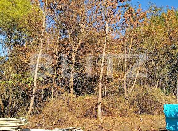 Casa de vânzare 4 camere Câmpeneşti - 72787CV | BLITZ Cluj-Napoca | Poza7