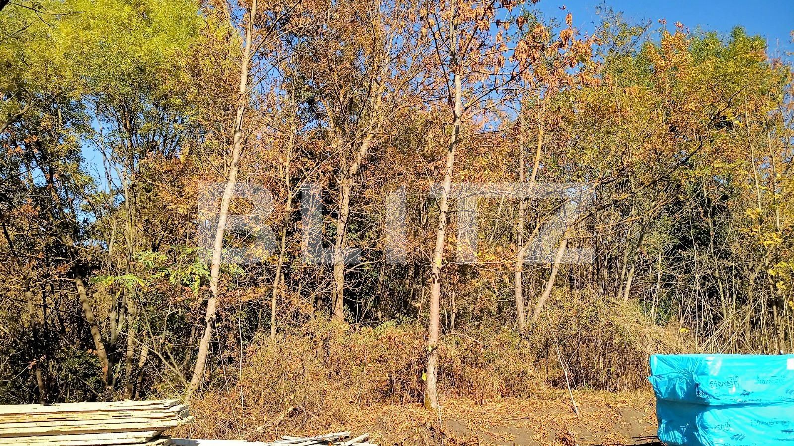 Casa de vânzare 4 camere Câmpeneşti - 72787CV | BLITZ Cluj-Napoca | Poza7