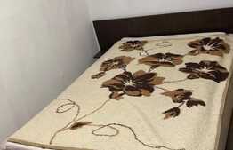 Apartament 2 camere, 50 mp, pet friendly, zona Onix!
