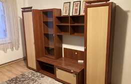Apartament 2 camere, 50 mp, pet friendly, zona Onix!