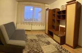 Apartament 2 camere, 50 mp, pet friendly, zona Onix!