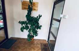 Spatiu comercial, 187 mp, la parter, zona Gheorgheni