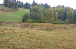 Blitz ofera spre vanzare in localitatea Rasca, teren intravilan 2500 mp, front 30 ml