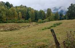 Blitz ofera spre vanzare in localitatea Rasca, teren intravilan 2500 mp, front 30 ml