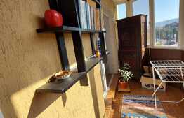 Apartament 2 camere, zona strazii Dumitru Mocanu!!