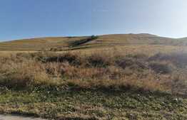 Teren extravilan 3.500 mp, centura Apahida-Valcele