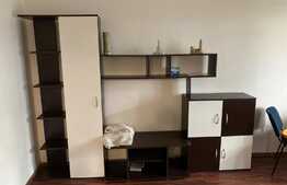 Apartament 2 camere, 56 mp, pet friendly, Astra!